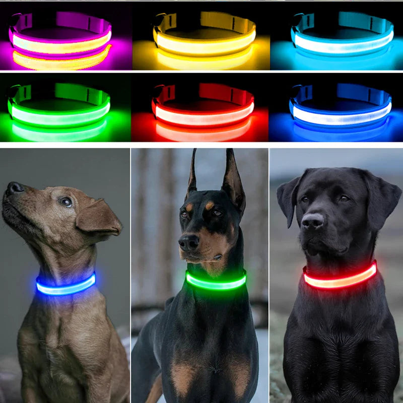 USB Rechargeable LED Glowing Dog Collar – Adjustable Night Safety - WTN Essentials