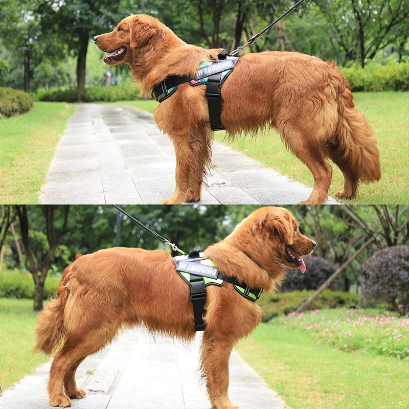 Adjustable Reflective Dog Harness - Purrfect Pet Kingdom