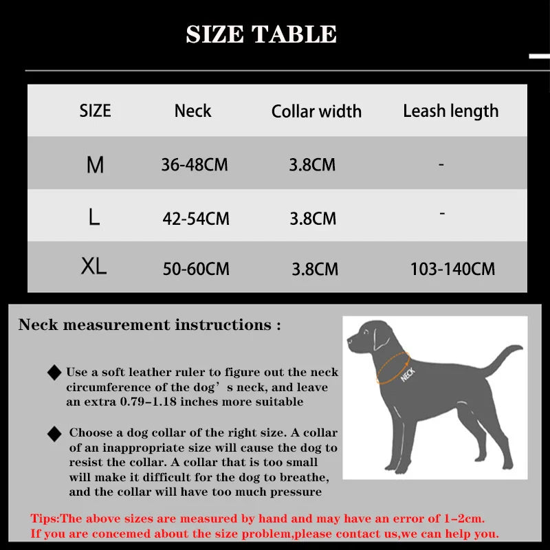 Durable Nylon Dog Collar & Reflective Leash Set – Tactical Training - WTN Essentials