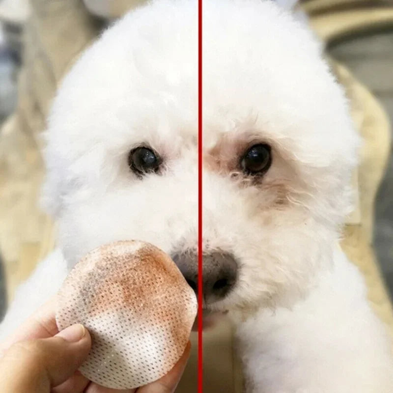 Pet Eye Wipes 130 Pcs Dog Cat Tear Stain Remover 4oz 👁️