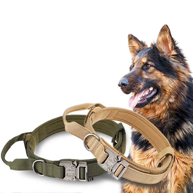 Durable Nylon Dog Collar & Reflective Leash Set – Tactical Training - WTN Essentials