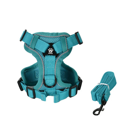 Secure Escape-Proof Cat Harness and Leash for Walking Cats