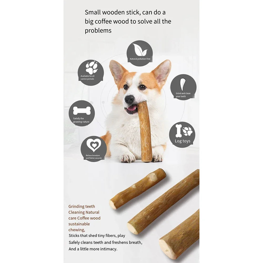 Coffee Wooden Dog Chew Stick – Tooth Pressure Relief Toy - WTN Essentials