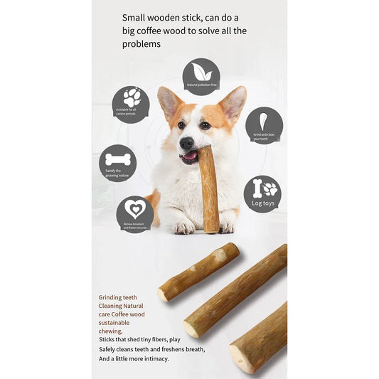 Coffee Wooden Dog Chew Stick – Tooth Pressure Relief Toy - WTN Essentials