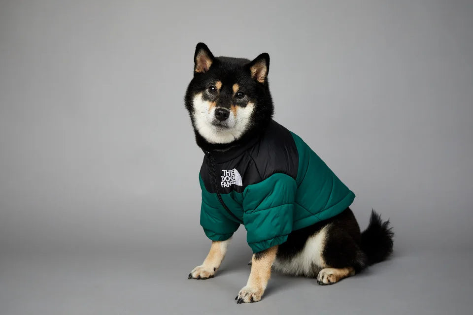 Winter Dog Down Jacket - Warm Thick Vest - Purrfect Pet Kingdom