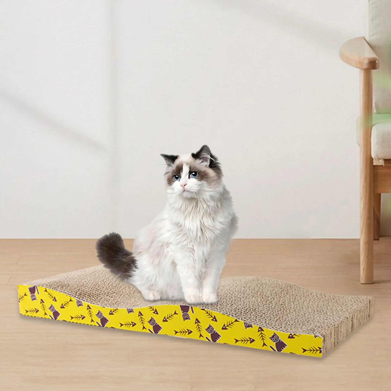 Cat Scratching Board Bed – Cardboard Scratch Pad & Nest for Cats - WTN Essentials