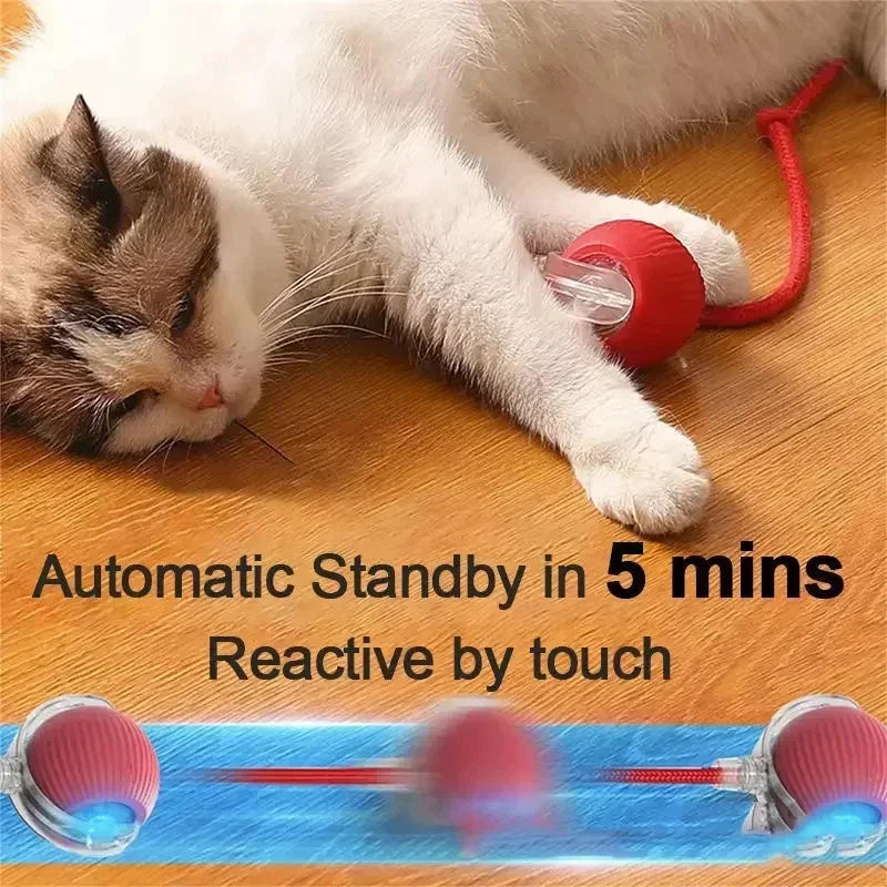 Rechargeable Smart Pet Interactive Automatic Rolling Ball