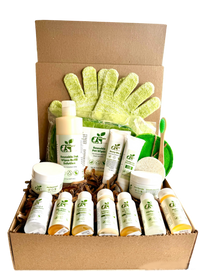 4-HAIRLESS PETS ULTIMATE GROOMING KIT