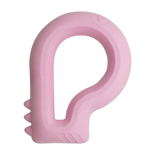 Floating Dino - Purrfect Pet Kingdom