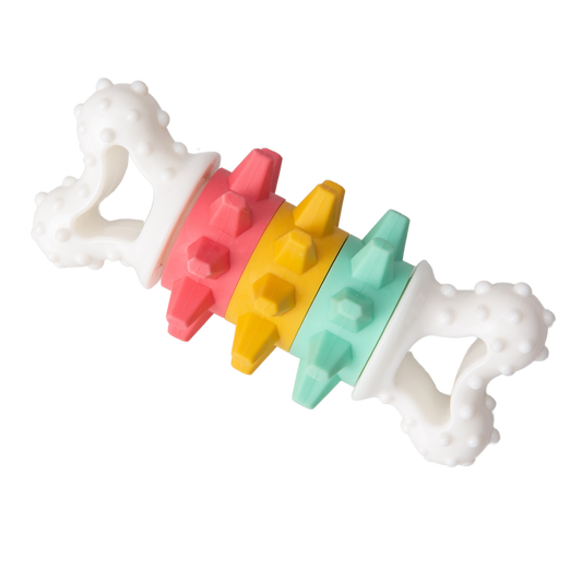 Twist & Shake Nylon Noisy Bone