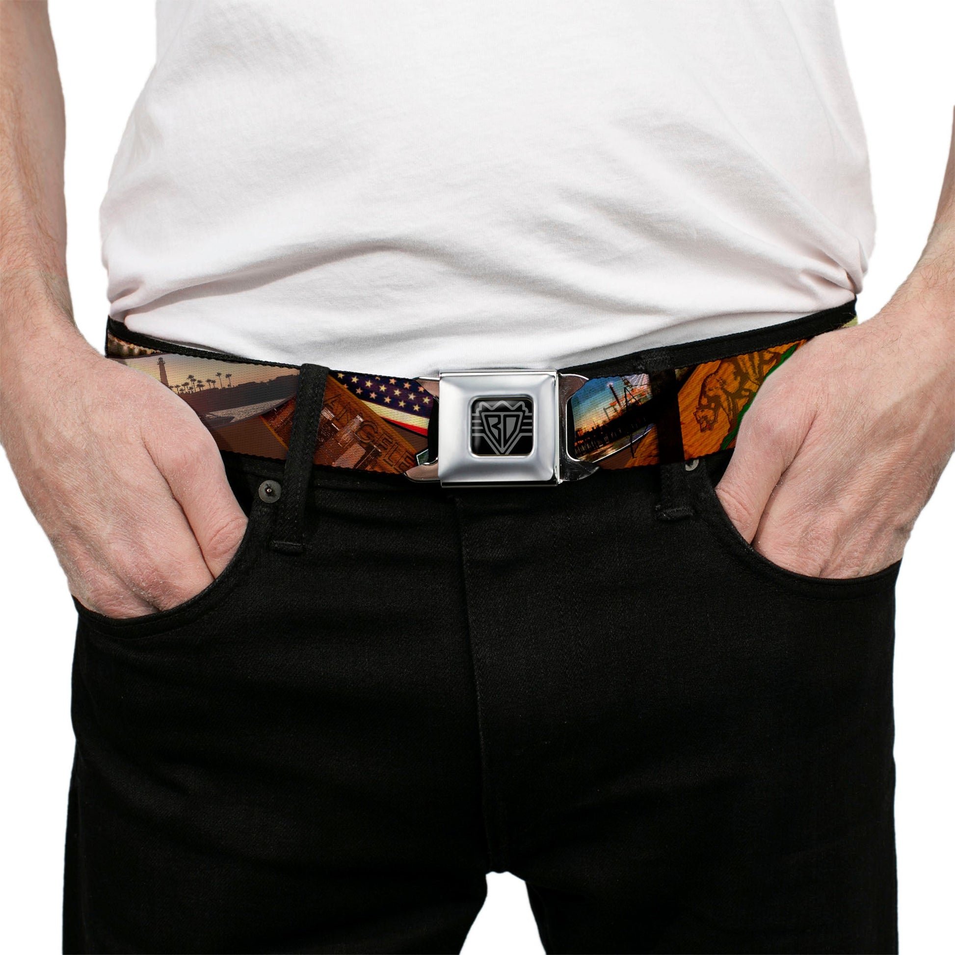BD Wings Logo CLOSE - UP Full Color Black Silver Seatbelt Belt - Surfboard Cali Scenes/US Flag Stacked Brown Webbing - Seatbelt Belts - Buckle - Down