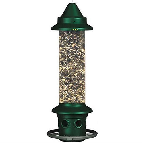 Bird Feeder – Squirrel-Proof Outdoor Design with Perch Ring
