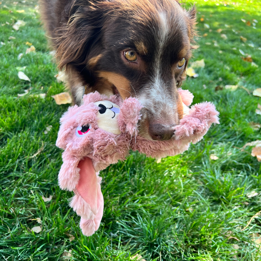 KONG  Scrumplez Bunny Medium