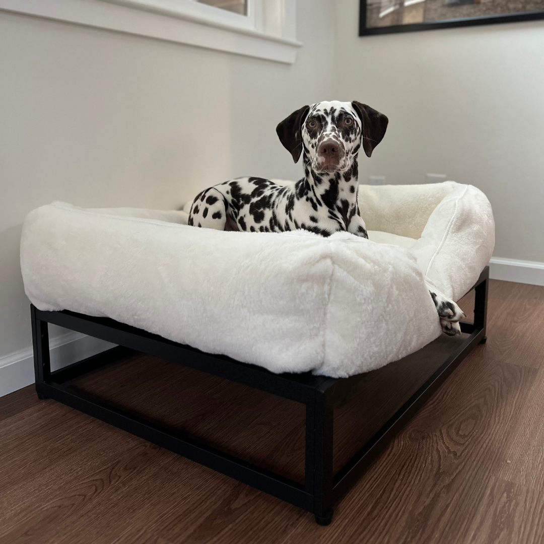 The FÜZI Dog Bed