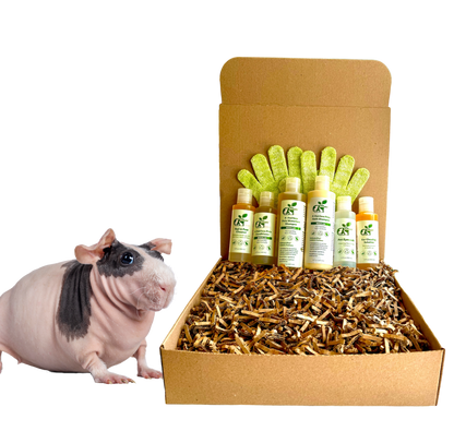 4 - HAIRLESS PETS *SKINNYPIG REGULAR KIT - 4 Nudie Pets - ReNewedPet