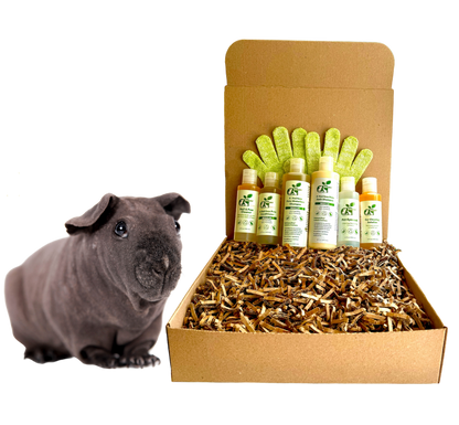 4 - HAIRLESS PETS *SKINNYPIG SENSITIVE KIT - 4 Nudie Pets - ReNewedPet