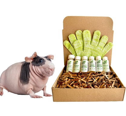 4 - HAIRLESS PETS *SKINNYPIG REGULAR KIT - 4 Nudie Pets - ReNewedPet - SAMPLE SIZE ($6.66/oz.) - 4HSKINNYREGSAMPLEKIT