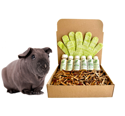4 - HAIRLESS PETS *SKINNYPIG SENSITIVE KIT - 4 Nudie Pets - ReNewedPet - SAMPLE SIZE ($6.66/oz.) - sku - 21213110173755