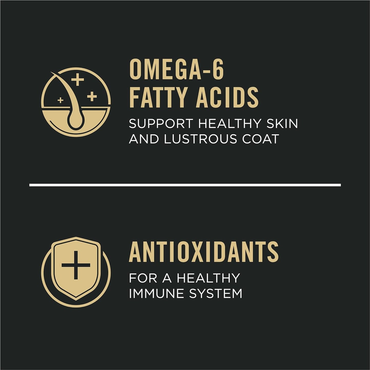 Purina Pro Plan Sensitive Skin & Sensitive Stomach Lamb & Oat Meal Formula - Dry Dog Food - The Family Pet