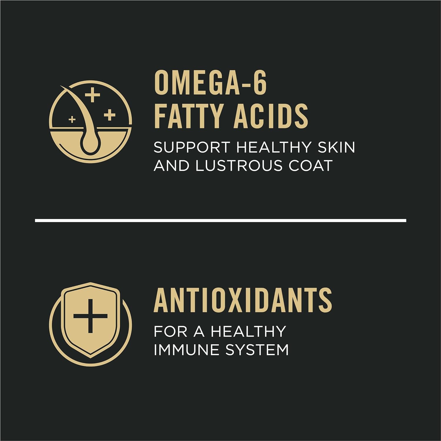 Purina Pro Plan Sensitive Skin & Sensitive Stomach Lamb & Oat Meal Formula - Dry Dog Food - The Family Pet