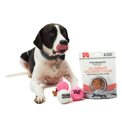 Salmon Dog Treats Alaskan Wild Caught Chips 4oz USA 🐟