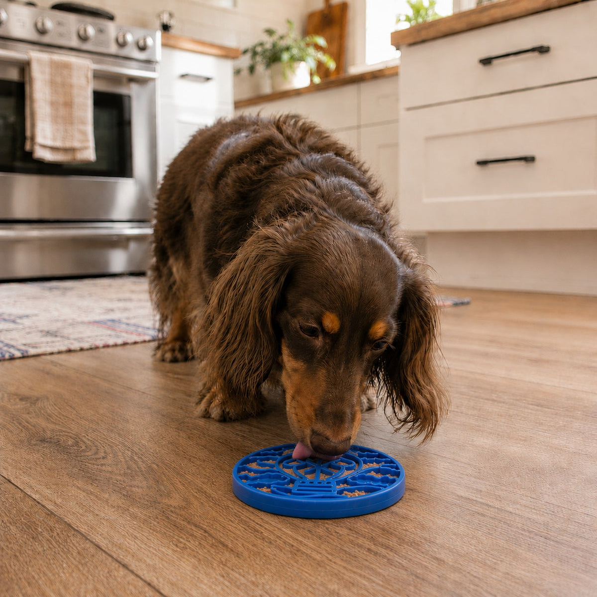 Air Nylon eCoin Lick Mat for Dogs - Durable Enrichment Toy | SodaPup - gallery view 9 | Dog Toys at Purrfect Pet Kingdom