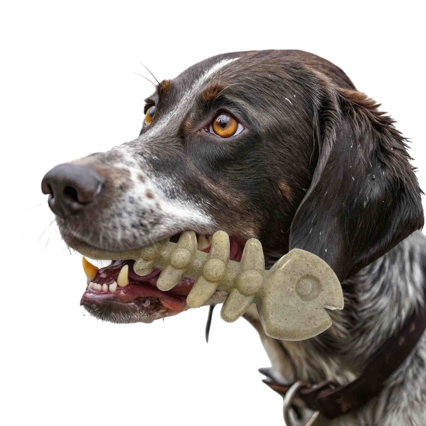 Fish Bone Nylon toy for Aggressive Chewers | USA Made