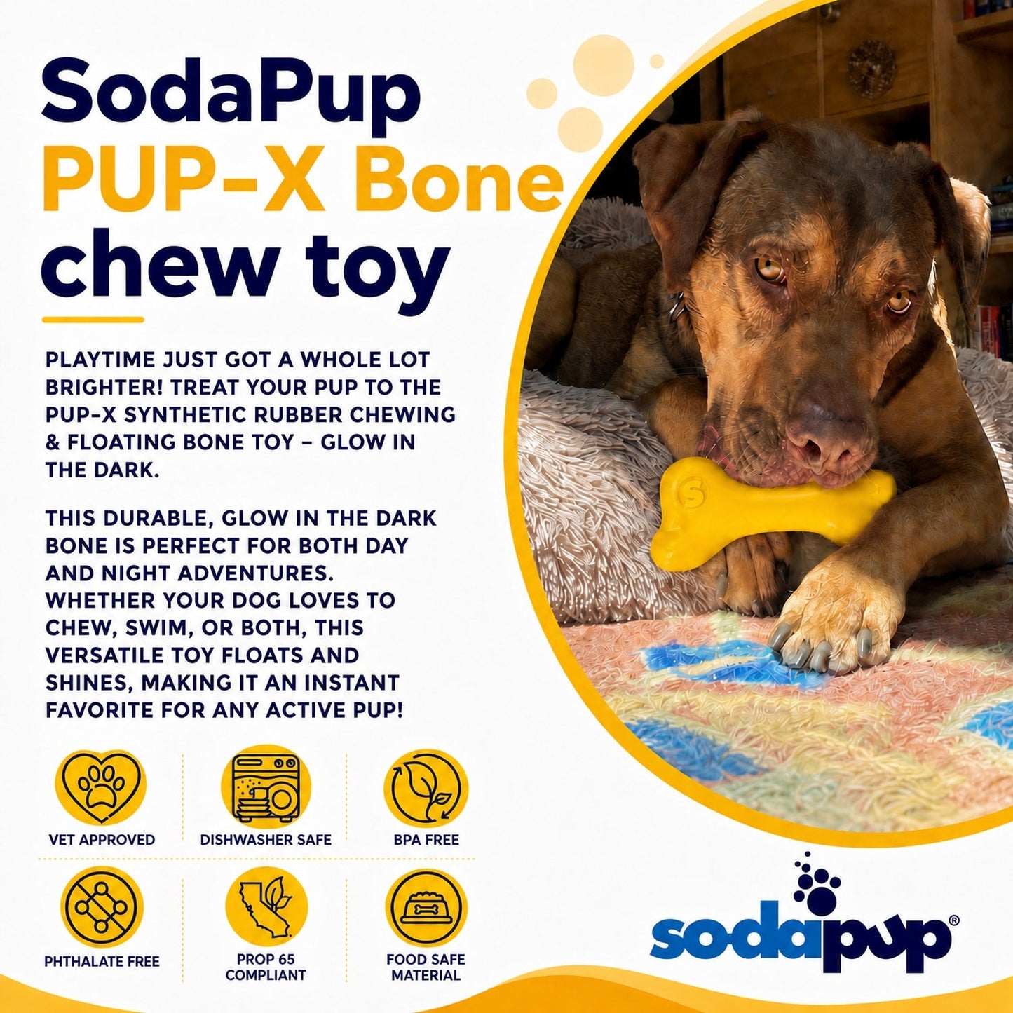 PUP-X Rubber Bone toy - Durable, Floats, Chew Toy for Large