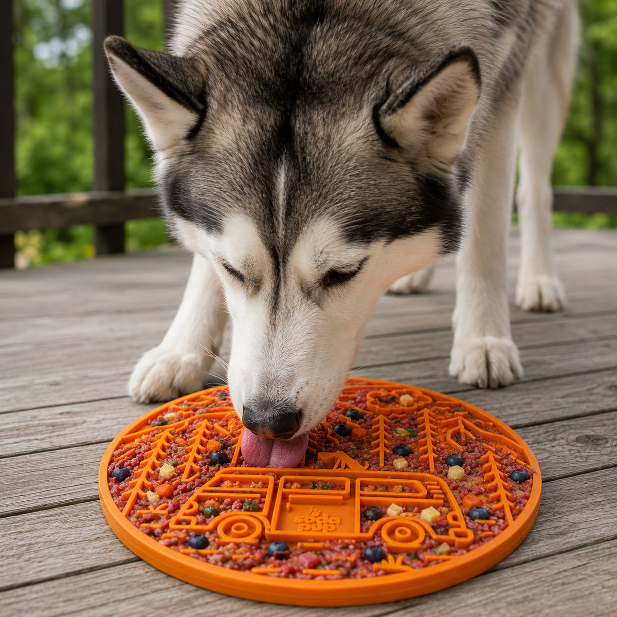 Purrfect Kingdom™ - Camp Emat Enrichment Lick Mat