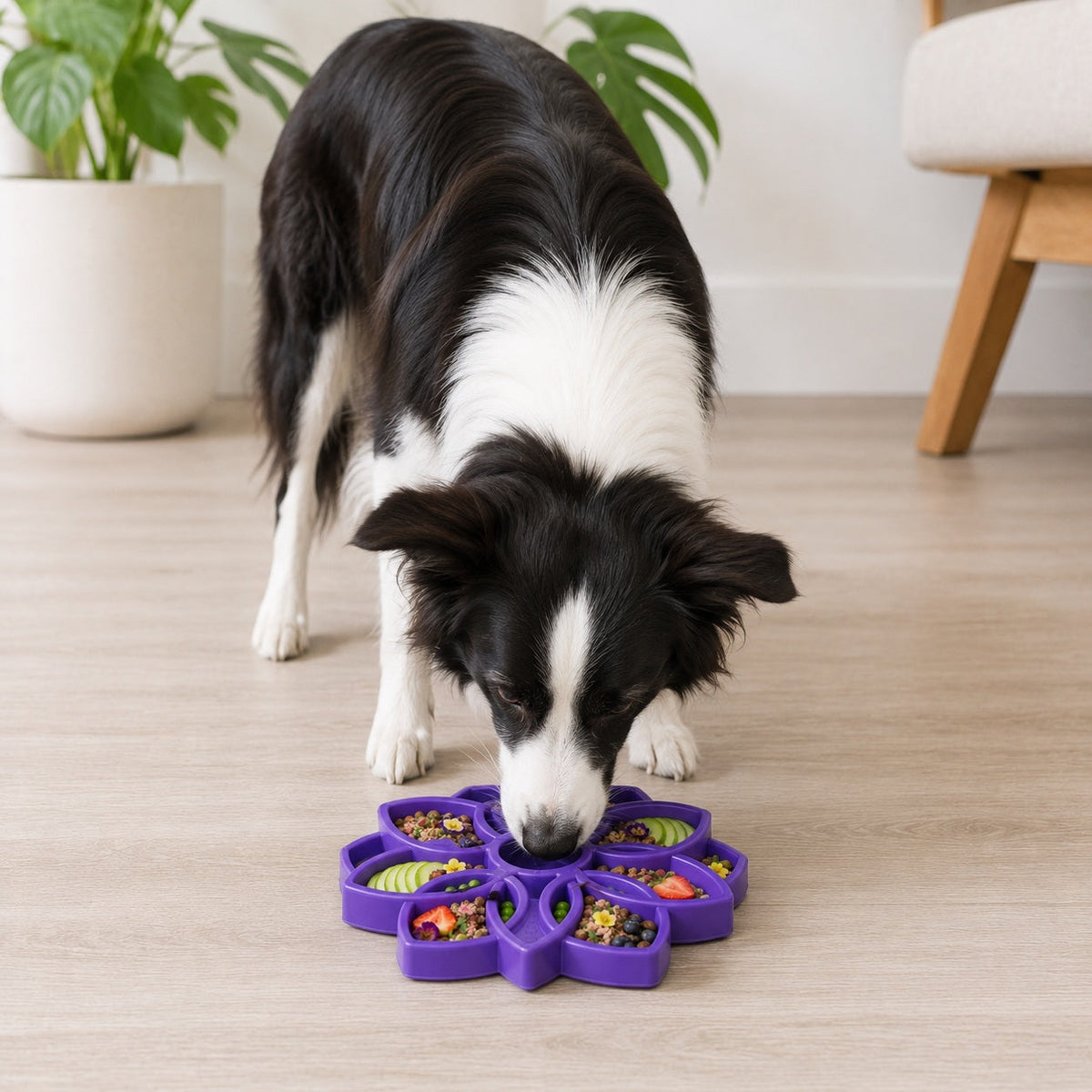 Mandala Etray Shallow Slow Feeder Dog Bowl For Enrichment - gallery image 10