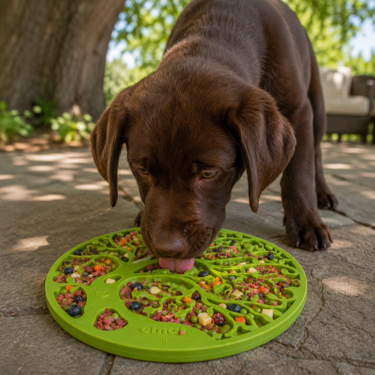 Tree Of Life Emat Enrichment Lick Mat For Dogs And Cats With - lifestyle view