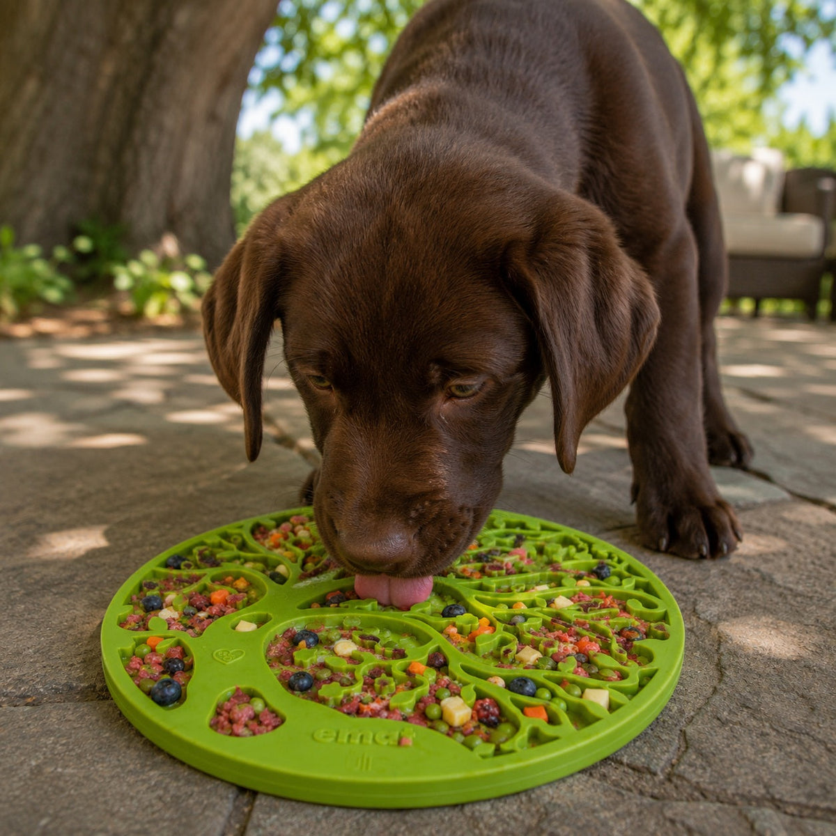 Tree Of Life Emat Enrichment Lick Mat For Dogs And Cats With - lifestyle view