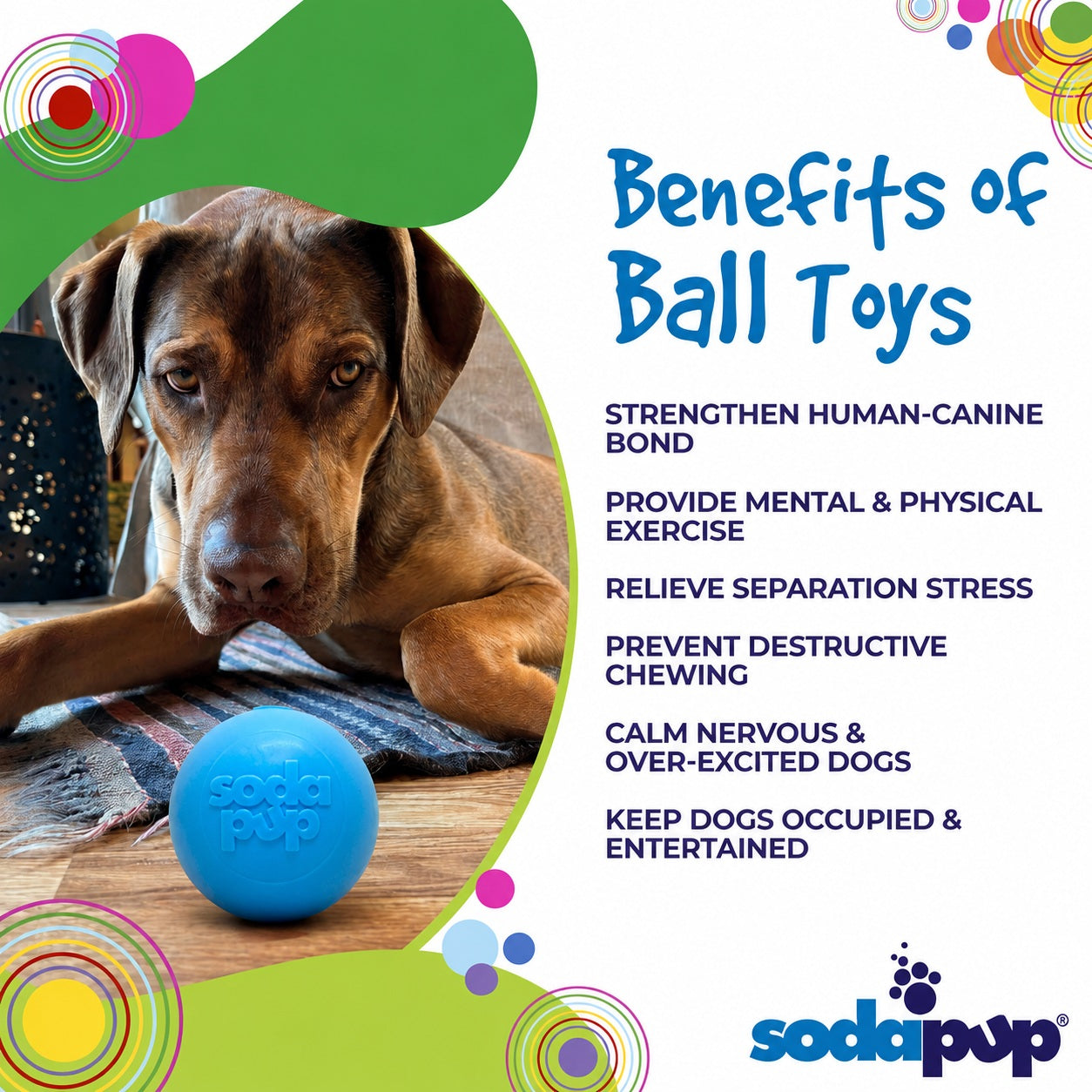 Dog Treats Squeak Ball Durable Squeaky Toy Floats Chew Toy - gallery product image for dog treats