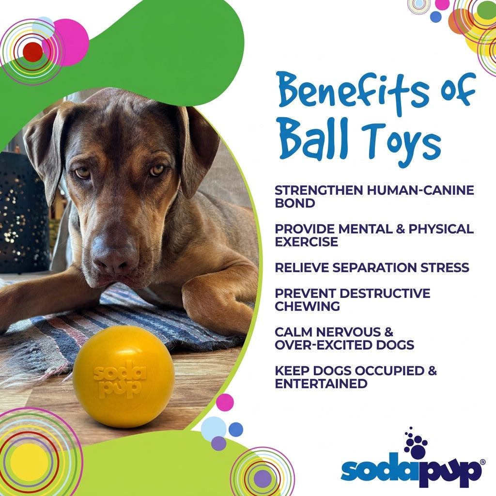 Dog Treats Squeak Ball Durable Squeaky Toy Floats Chew Toy - gallery product image for dog treats