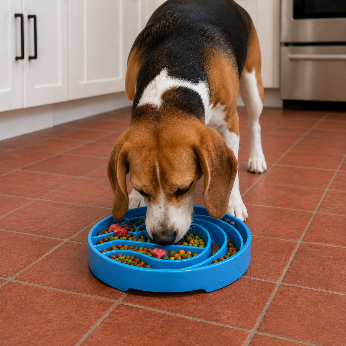 Baja Design eTray - Shallow Slow Feeder Dog Bowl for Enrichment | USA Made - gallery view 10 | Slow Feeders at Purrfect Pet