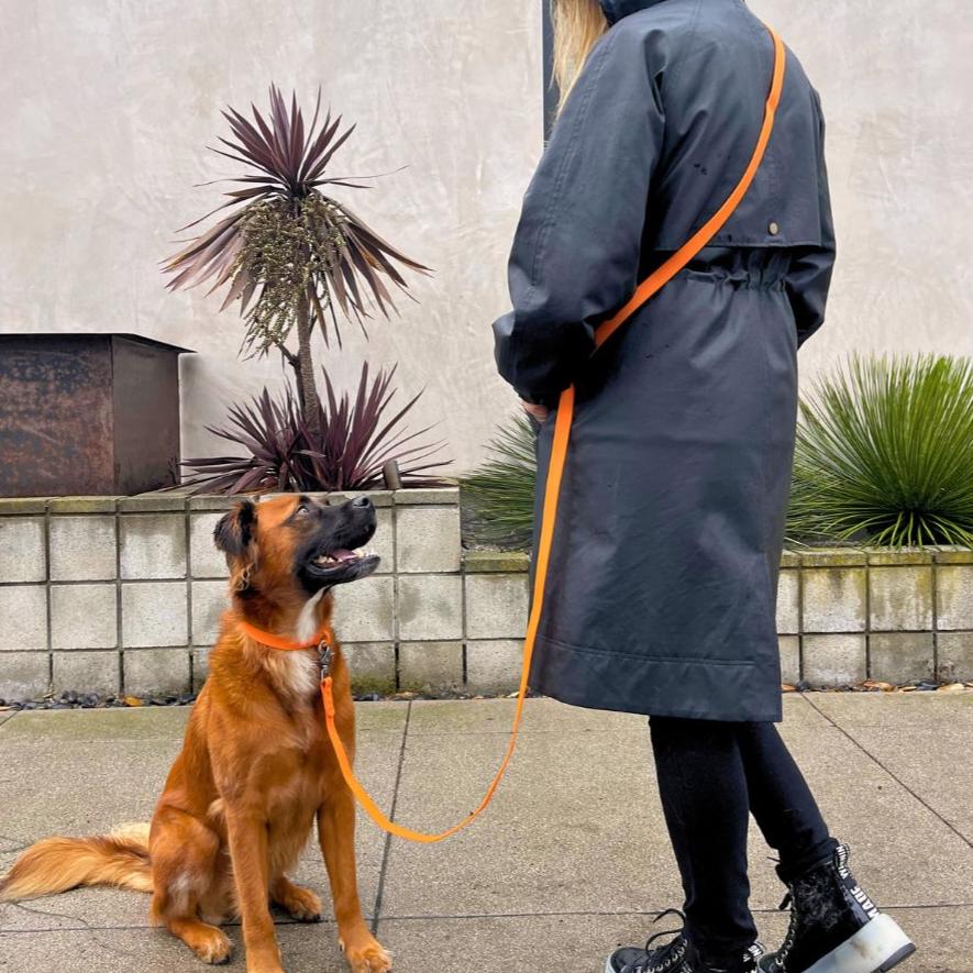 PVC Handsfree Dog Leash - All Weather Waterproof Durable & Odor-Resistant - Purrfect Pet Kingdom