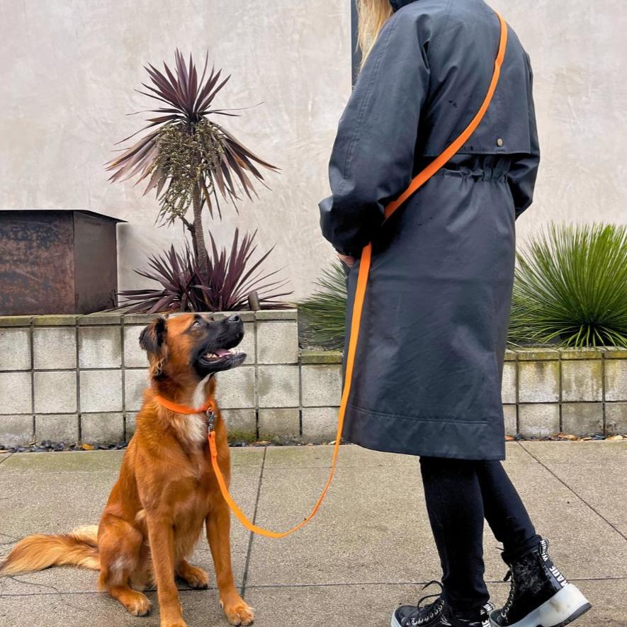 PVC Dog Collar - All Weather Waterproof Durable & Odor - Resistant - Waterproof Dog Collar - Tilley + Me