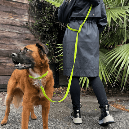 Dog Collar Waterproof PVC All Weather 🦮