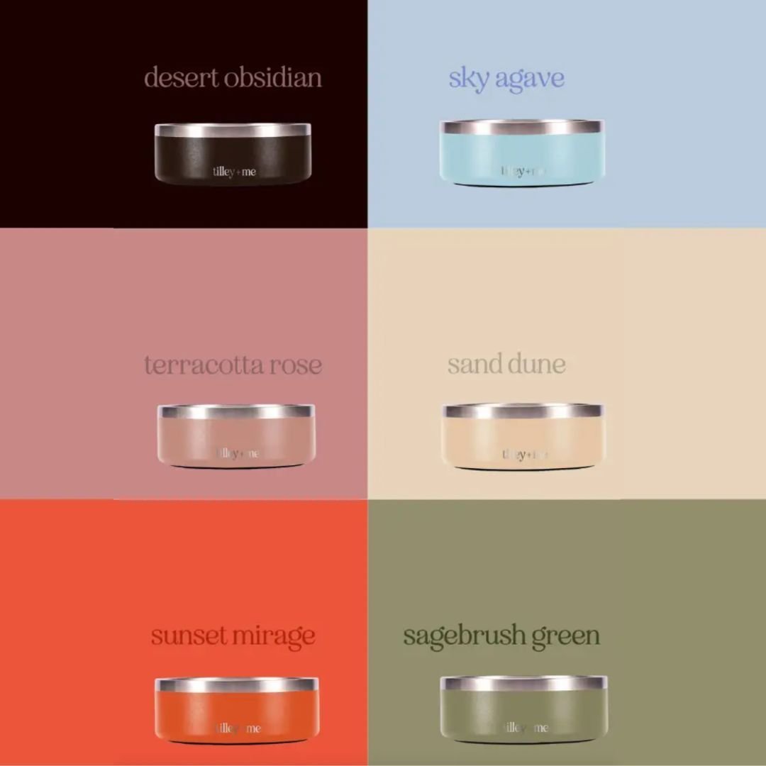 Stainless Steel Pet Bowl – Non-Slip, Durable & Dishwasher Safe | 32oz and 64oz - Purrfect Pet Kingdom