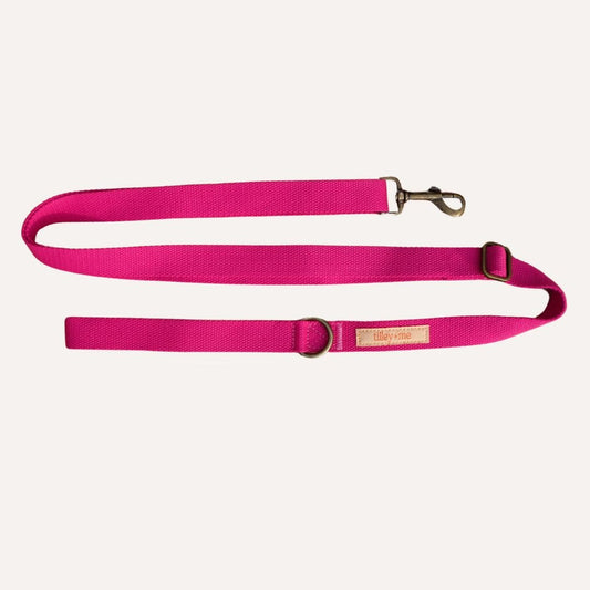 Dog Leash Hemp Cotton Sustainable Blue 🦮 - Dog Leash & Collar Set - Tilley + Me