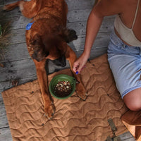 Convertible Dog Bag - Portable Travel Mat Bag for Pet Owners