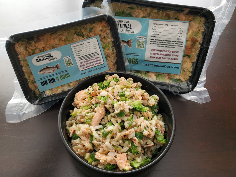 Sensational Salmon - Sampler 8 Pack