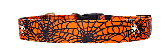 Spider Web Orange Dog Collar