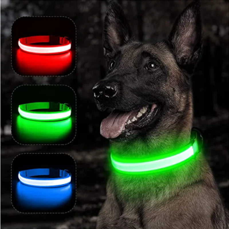 USB Rechargeable LED Glowing Dog Collar – Adjustable Night Safety - WTN Essentials