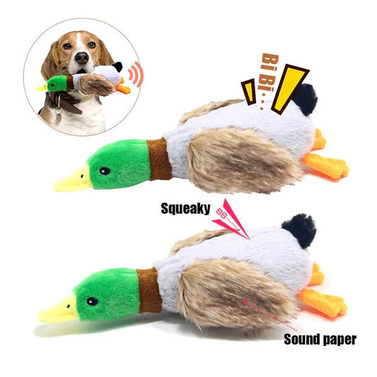 Plush Duck Dog Squeaky Toy 🦆