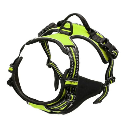 Dog Collar, Harness & Leash Set – Leather for Small & Medium Dogs