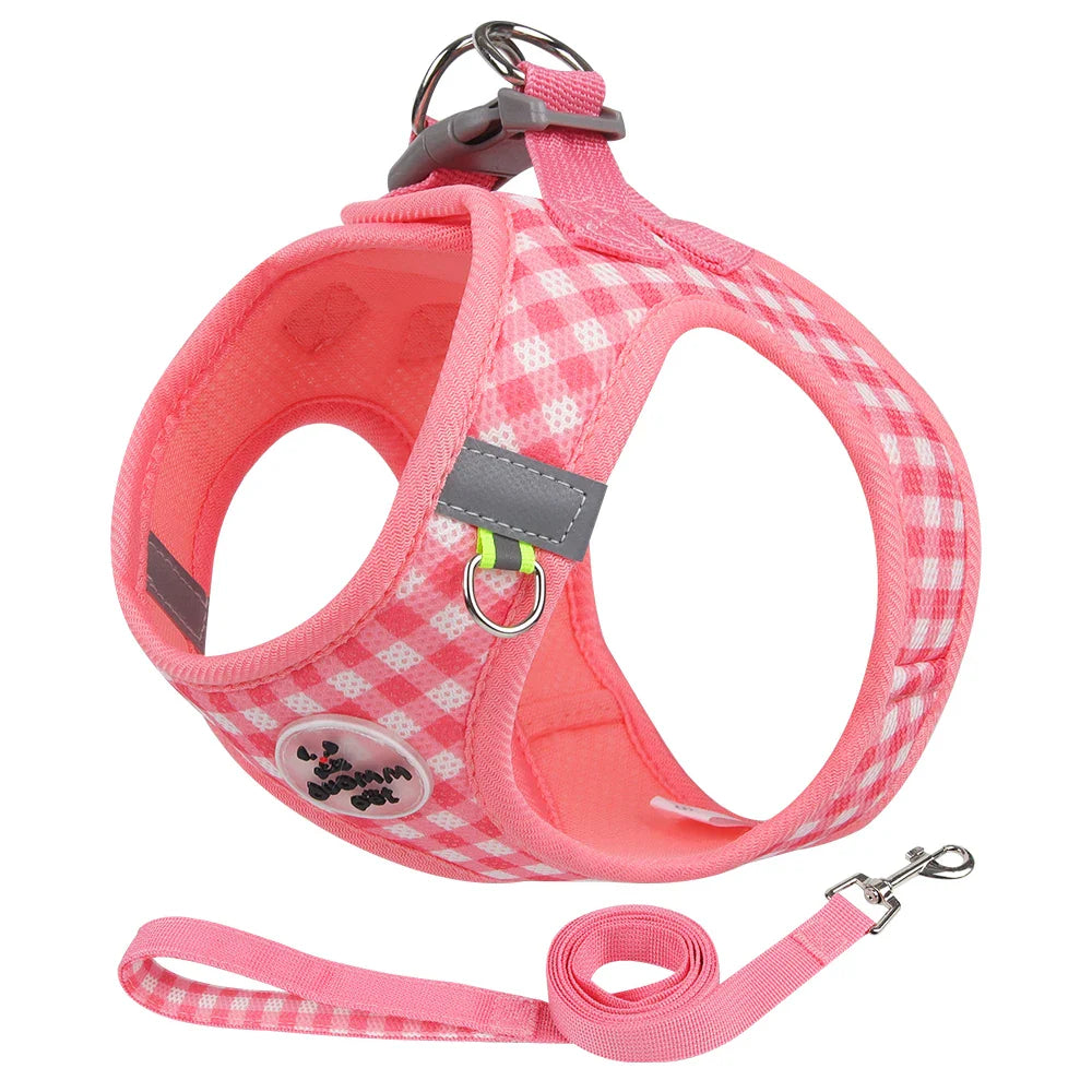 Checkered Dog Harness and Leash Set for Safe Pet Walking