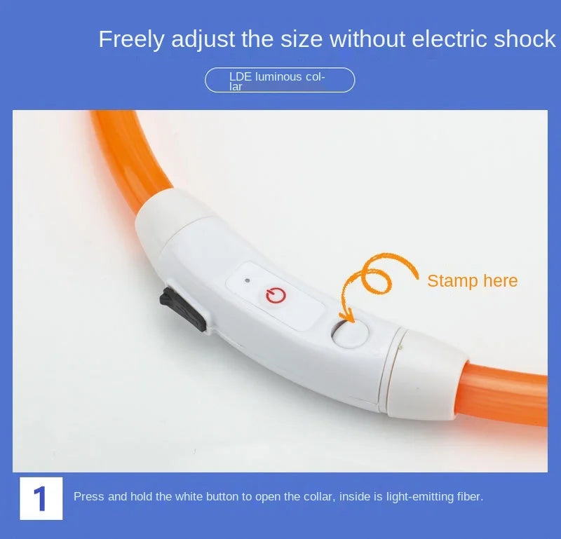 USB Rechargeable LED Glowing Dog Collar – Adjustable Night Safety - WTN Essentials