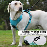 TrackSafe Reflective No-Pull Dog Harness & Leash Set