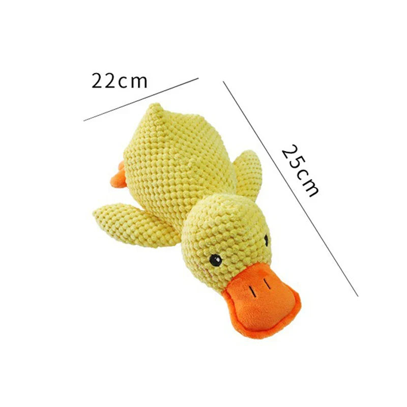 Squeaky Dog Toy – Durable Chew & Molar Toy for Small & Large Dogs - WTN Essentials